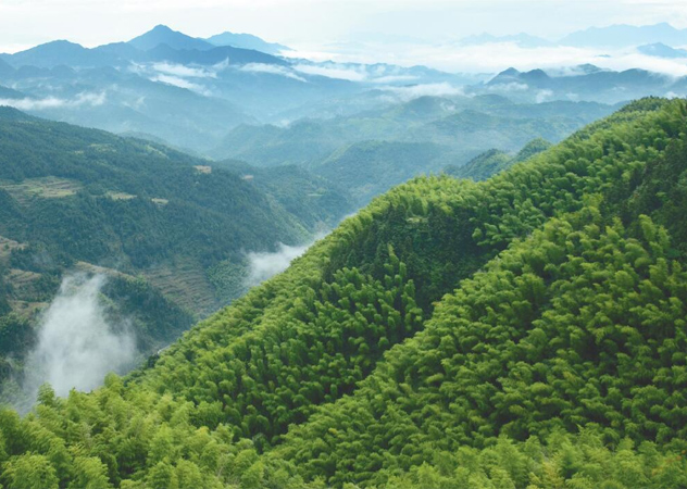 江西土壤检测